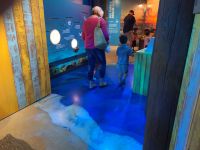 grapevine-sea-life-sundek_997 (1)